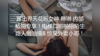 露出界天花板女神 琳琳 内部私拍专享！电梯口啪啪招陌生路人揩油摸B 惊呆外卖小哥！