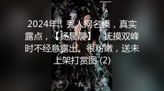 2024年，秀人网名模，真实露点，【杨晨晨】，抚摸双峰时不经意露出。很粉嫩，送未上架打赏图 (2)