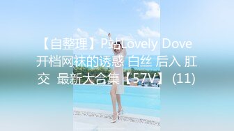 【自整理】P站Lovely Dove 开档网袜的诱惑 白丝 后入 肛交  最新大合集【57V】 (11)