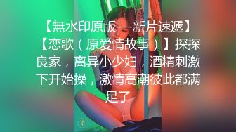 麻豆传媒-兔子先生TZ-055秘密女搜查官-中野惠子