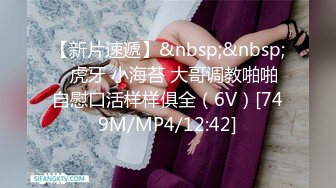 【源码抓取】糖心VlogUp主 【applecptv】全集⭐长腿女神⭐超级丝袜控⭐性感御姐【62V】 (25)