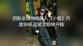 短裙白内透明大翅膀美女