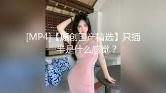 美人妊婦～悶絶中出し性交 4時間