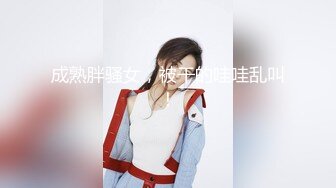 【三级】《链-两个女人的诱惑》