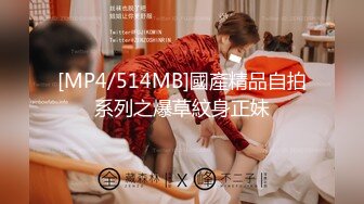 【MP4/HD】一对豪乳超性感！撩起衣服露奶子，半脱下内裤翘肥臀，摇摆极度诱惑