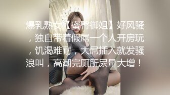 豪乳白领 上班摸鱼【杭州大表姐】办公室道具塞逼~工作中同事出去 胸罩扣解开露出【70V】 (4)