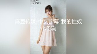 MD-0039_女优面试员叶一涵