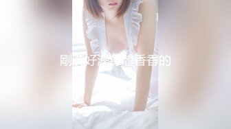 働きウーマン 〜卑猥な美人生保レディの敏腕枕営业〜