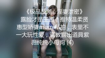 调教02年黑丝巨乳胖母狗-清纯-迷人-野战-坦克