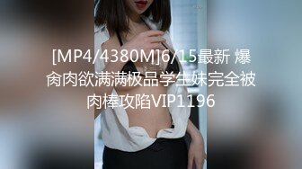 我喜欢玩三p