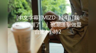 [中文字幕][MIZD-114]「我已經高潮了！」高潮連擊做愛合集4小時2