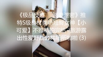 《极品反差㊙️骚妻泄密》推特S级身材美艳翘臀女神【小可爱】不雅私拍完结~旅游露出性爱野战公共场所啪啪 (3)