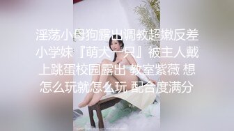 密友.第一季 第十七集.精东影业