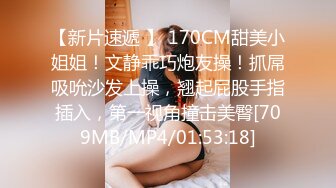 超级丝袜控180大长腿女神▌苹果▌我的室友 第十篇 旅游风景美无内大白腿 高跟翘臀后入狂顶G点