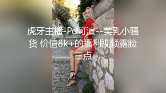 虎牙主播-Pd可渲--美乳小骚货 价值8k+的福利视频露脸三点