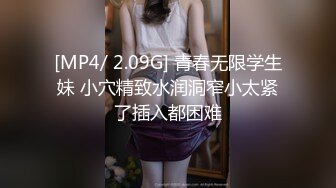 越南航空飞行员与漂亮爆乳嫩模女友性爱私密视频流出