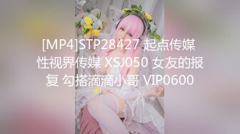 [MP4]STP28427 起点传媒 性视界传媒 XSJ050 女友的报复 勾搭滴滴小哥 VIP0600