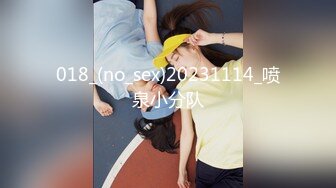 [MP4/1000M]4/22最新 厕拍大神潜入酒吧女厕开着小电筒偷拍坐台小姐姐尿尿VIP1196