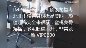 [MP4/14M]4/19最新 杨晨晨自揉美乳想做爱特写丰臀丁字裤好骚的翘屁股VIP1196