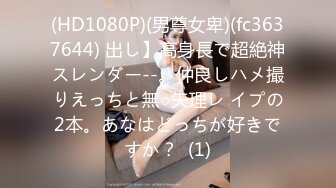 (HD1080P)(男尊女卑)(fc3637644) 出し】高身長で超絶神スレンダー--。仲良しハメ撮りえっちと無○矢理レ イプの2本。あなはどっちが好きですか？  (1)