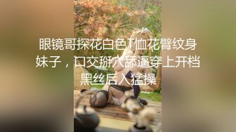 眼镜哥探花白色T恤花臂纹身妹子，口交掰穴舔逼穿上开档黑丝后入猛操