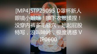 [MP4]STP29095 D罩杯新人眼镜小姐姐！撩下衣服揉捏！没穿内裤多毛骚穴，翘起屁股特写，浪叫呻吟，极度诱惑 VIP0600