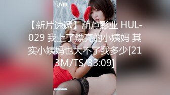 【新片速遞】葫芦影业 HUL-029 我上了漂亮的小姨妈 其实小姨妈也大不了我多少[213M/TS/33:09]