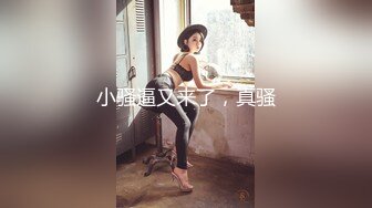 ⚫️⚫️真实露脸约炮（上集）！推特大佬【粉红君】3K约战极品颜值19岁E奶萝莉型美女，楚楚可人经验不多初恋般的感觉2K画质[MP4/830MB]